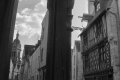thierry_t 1605-15025_le-mans